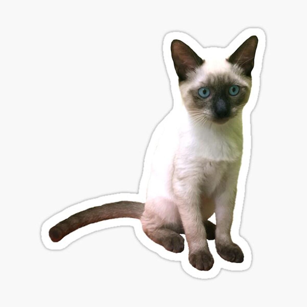 UFak Bebek Kedi Araba Oto Sticker Etiket Renkli E9