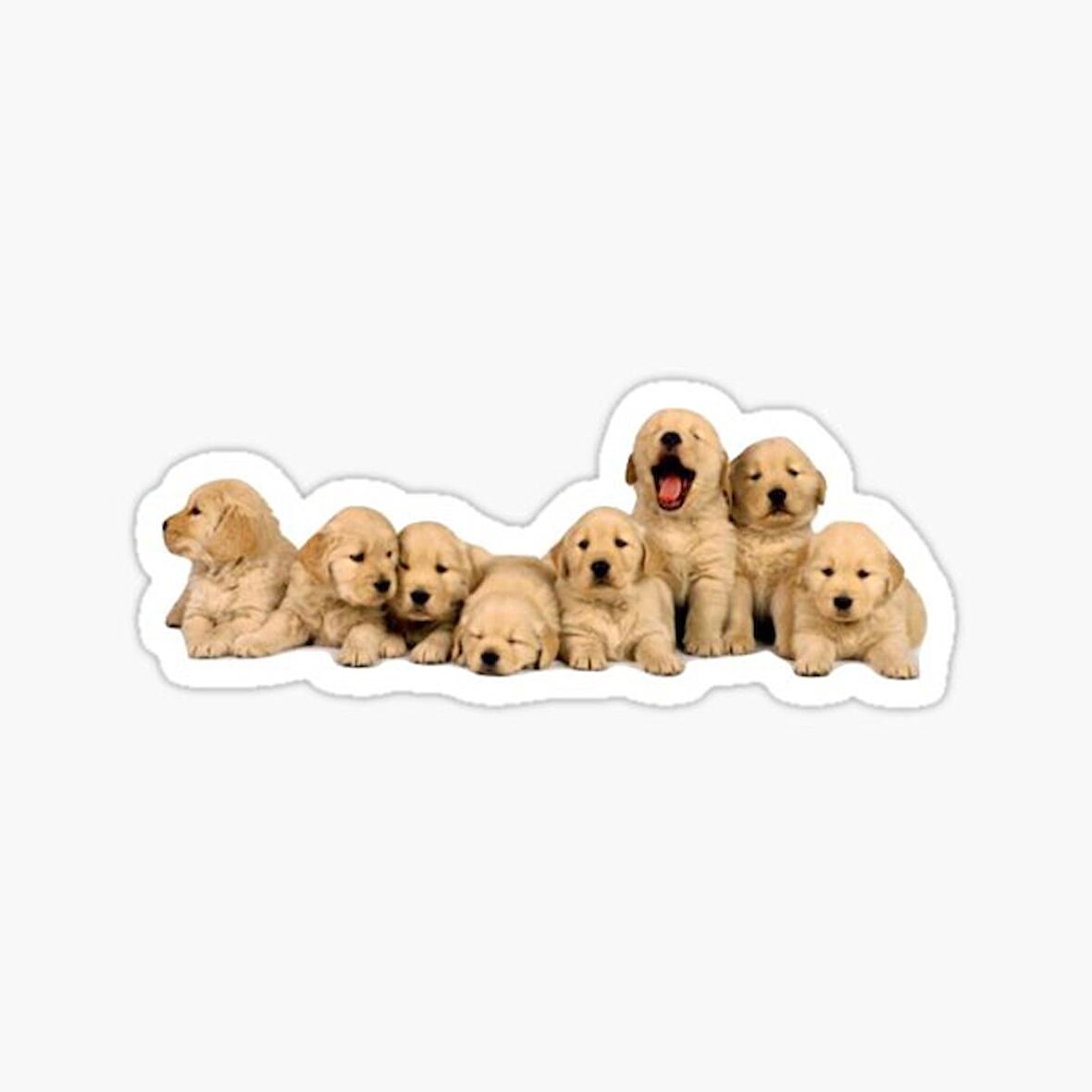 Golden Yavrusu Köpek Sticker Araba Oto Yapıştırması 17CM A8