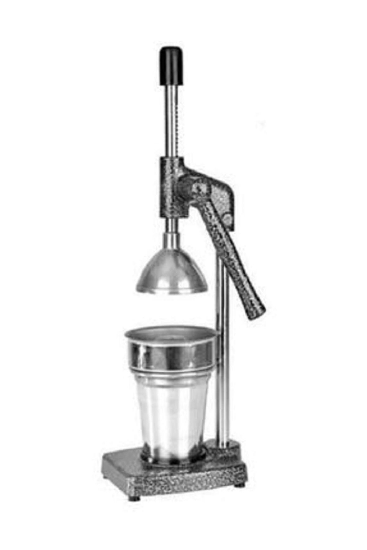 KALE 1702 Klasik Standart Ev Tipi Meyve Presi (1702 Model)