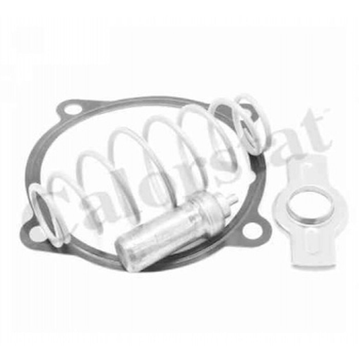 İveco Truck Termostat 79 C° İveco Stralıs Trakker Eurostar Eurotech / Ford Cargo 1846 - Vernet Th7313.79j