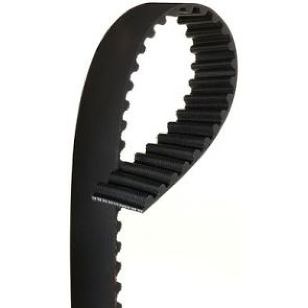 Renault Triger Kayısı (151x254) 96m Exp Dzl R19 Clio Kangoo - Gates 5305