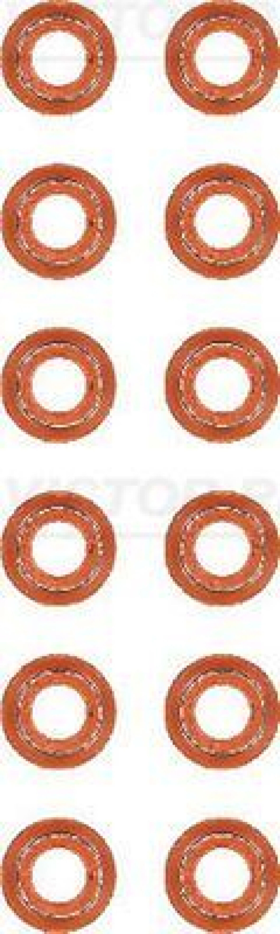 İveco Truck Subap Lastıgı (12 Adet) Ford Cargo / 1846 - İveco / Stralıs - Cursor 10 - Victor Reinz 12-40217-01