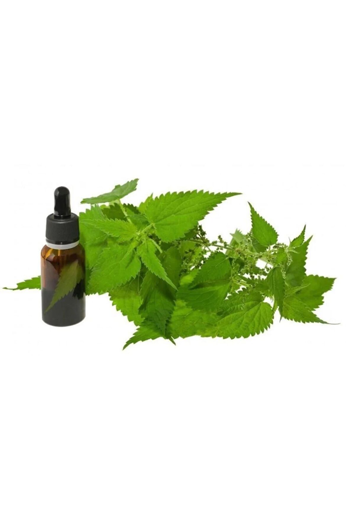 Isırgan Tohumu Yağı 20 ml