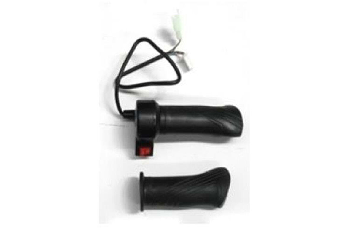 Ebis Gaz Kolu Vitesli 2 Kademe E-Bisiklet