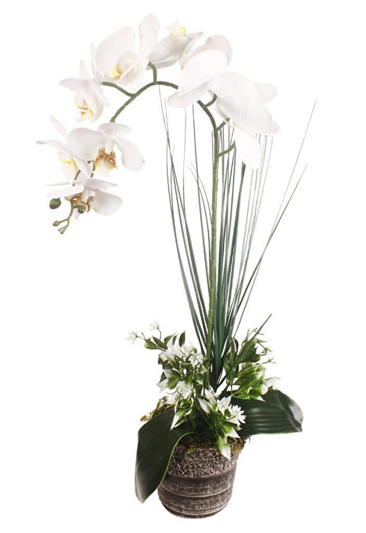 Yapay Çiçek Orkide Seramik Saksıda Beyaz Islak Orkide