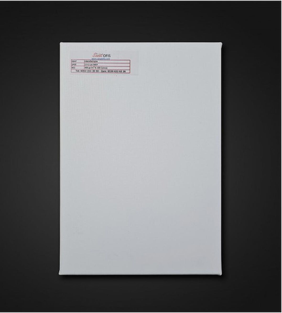 Sanatofis 20x20 cm 5'li Standart Şase Profesyonel Tuval Paketi