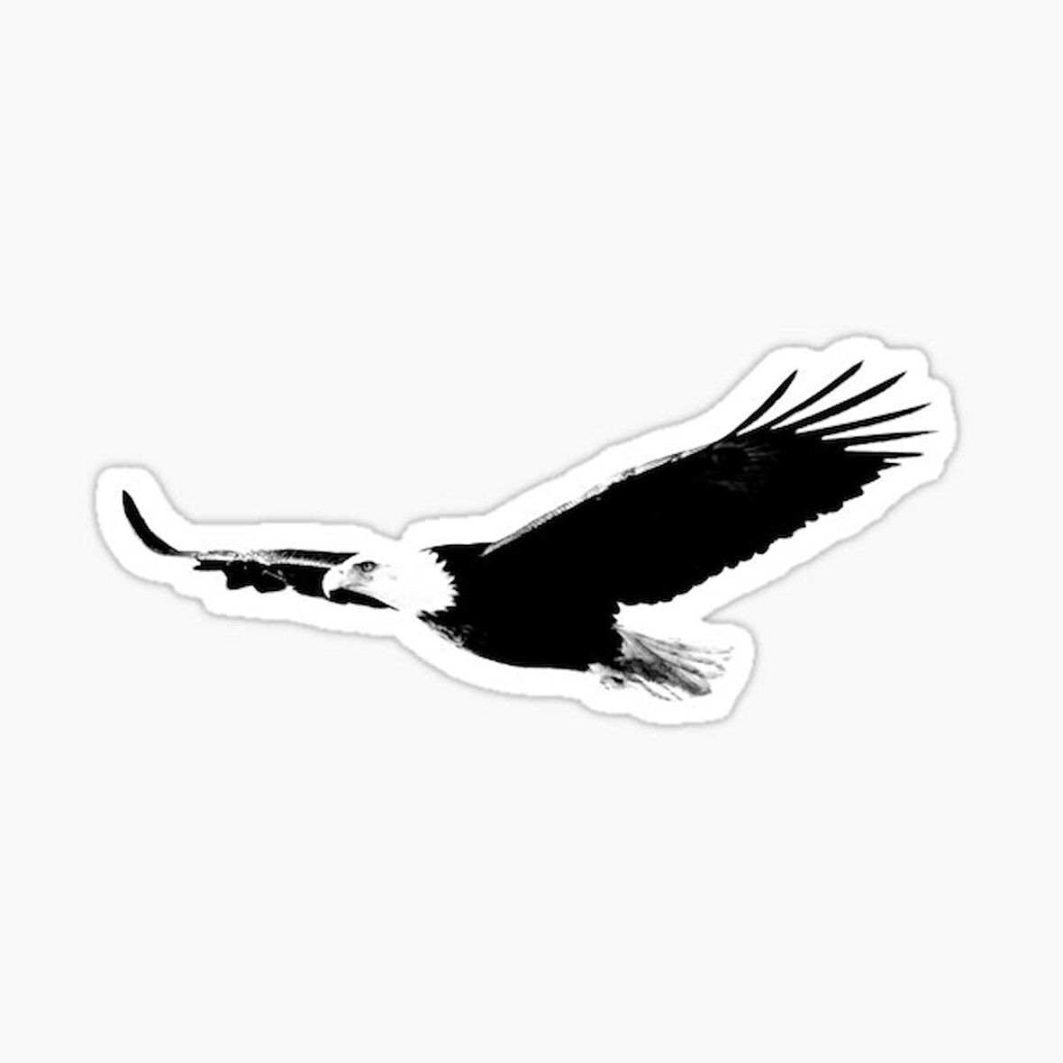 Araba için Kartal Oto Sticker Yapıştırması Etiket  17CM a3