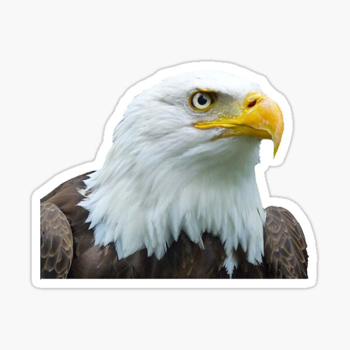Araba için Kartal Oto Sticker Yapıştırması Etiket  17CM a8