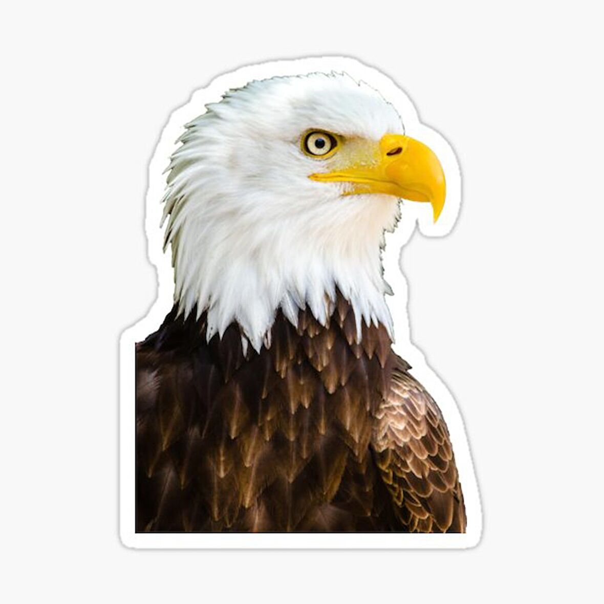 Araba için Kartal Oto Sticker Yapıştırması Etiket  17CM d2