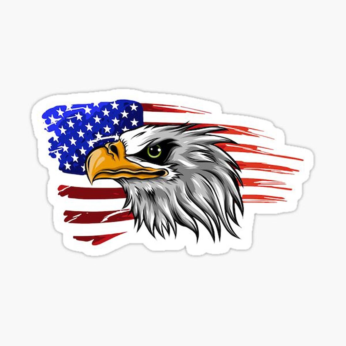 Araba için Kartal Oto Sticker Yapıştırması Etiket  17CM d9