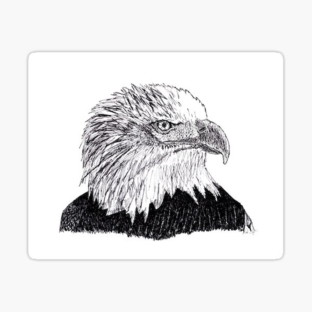 Araba için Kartal Oto Sticker Yapıştırması Etiket  17CM e1