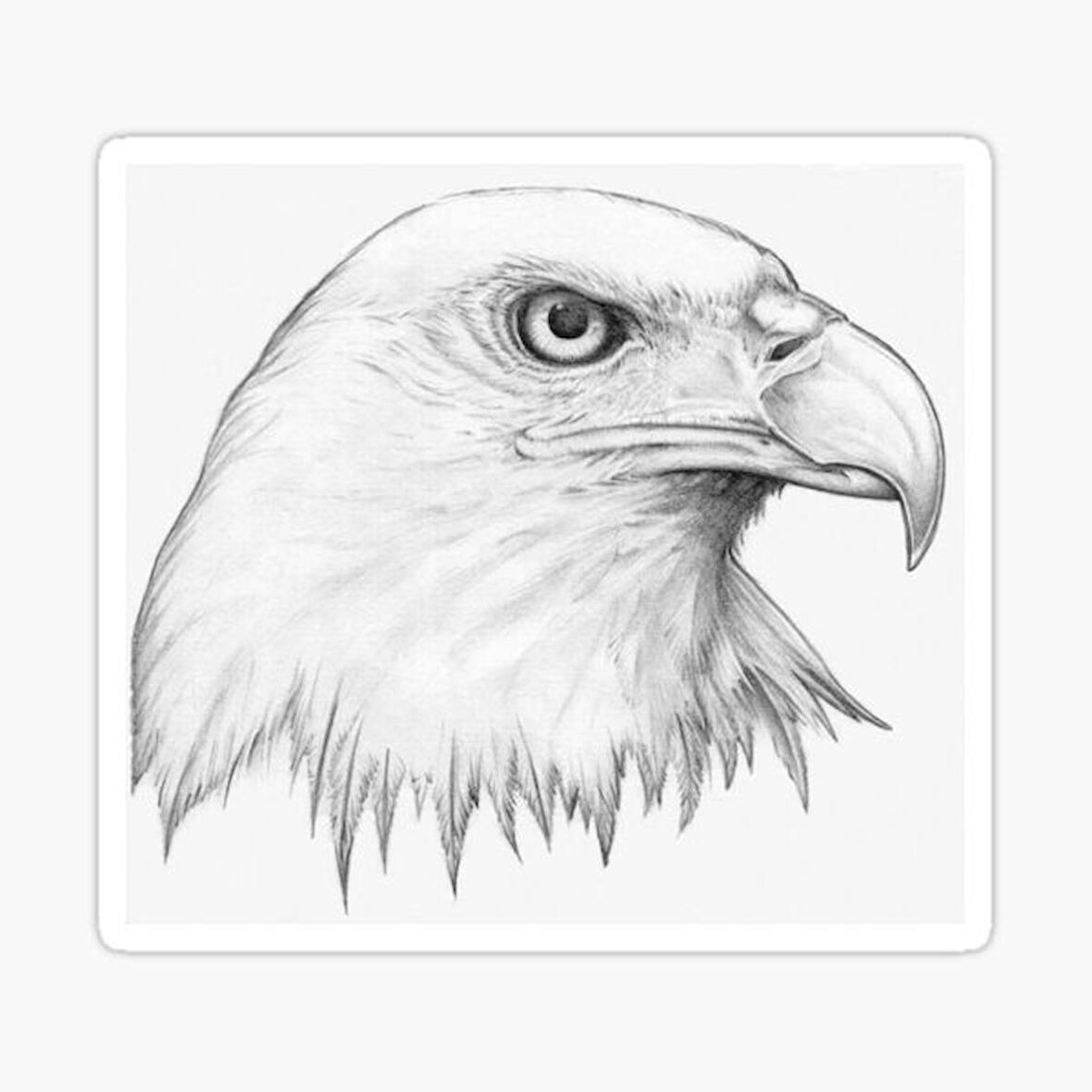 Araba için Kartal Oto Sticker Yapıştırması Etiket  17CM e4