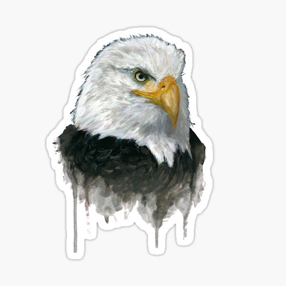 Araba için Kartal Oto Sticker Yapıştırması Etiket  17CM r4