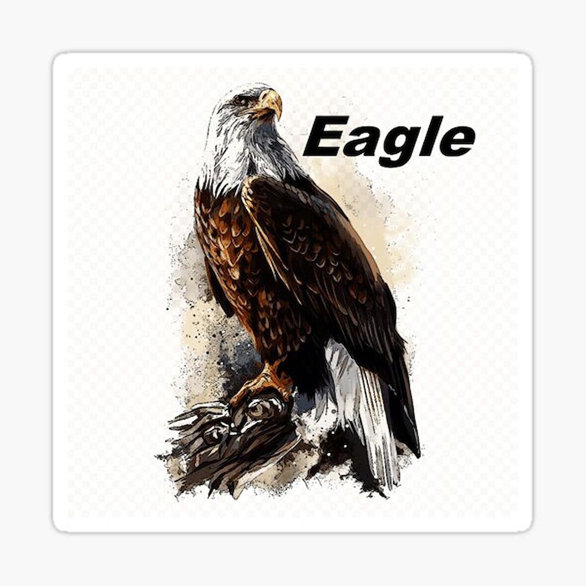 Araba için Kartal Oto Sticker Yapıştırması Etiket  17CM s4