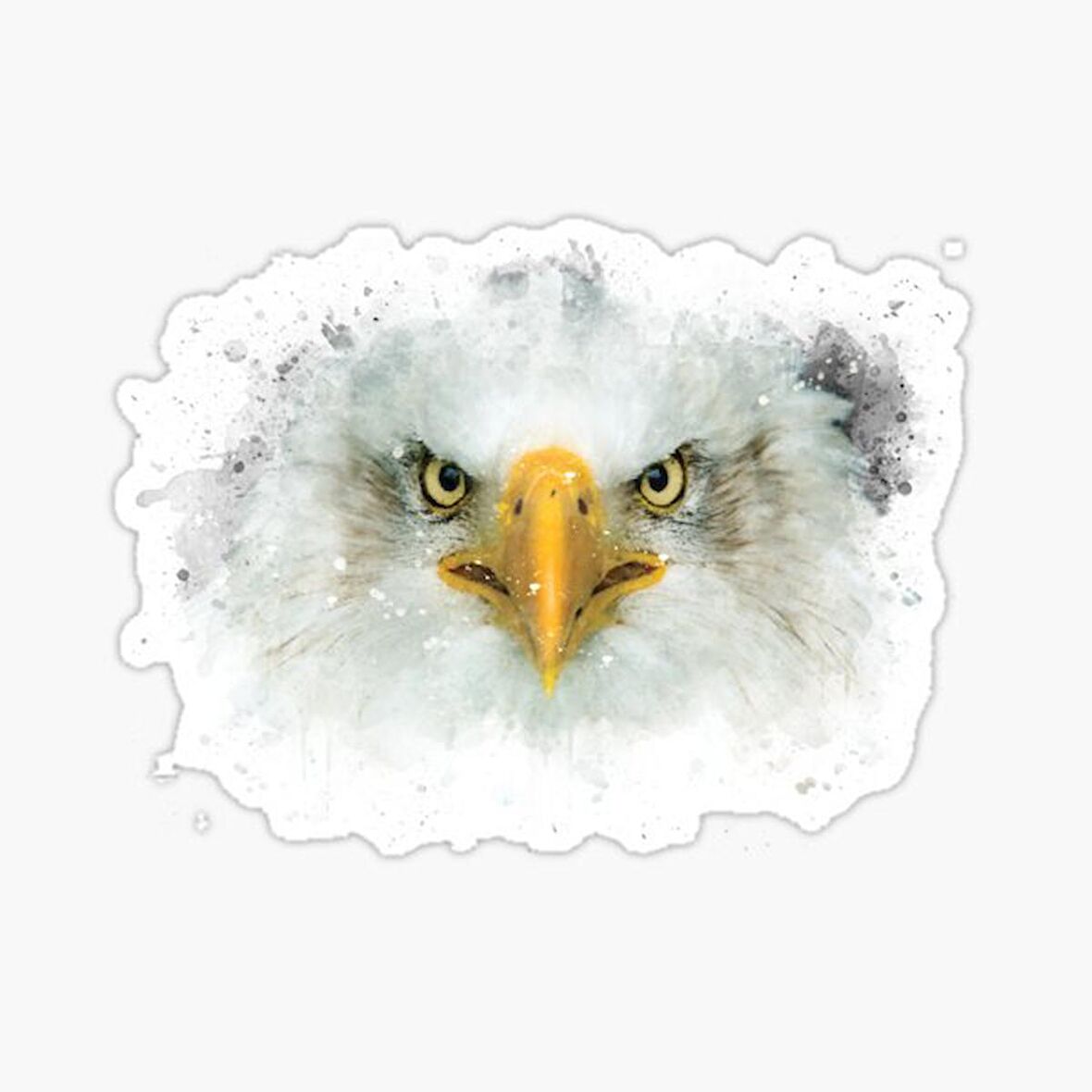 Araba için Kartal Oto Sticker Yapıştırması Etiket  17CM w1