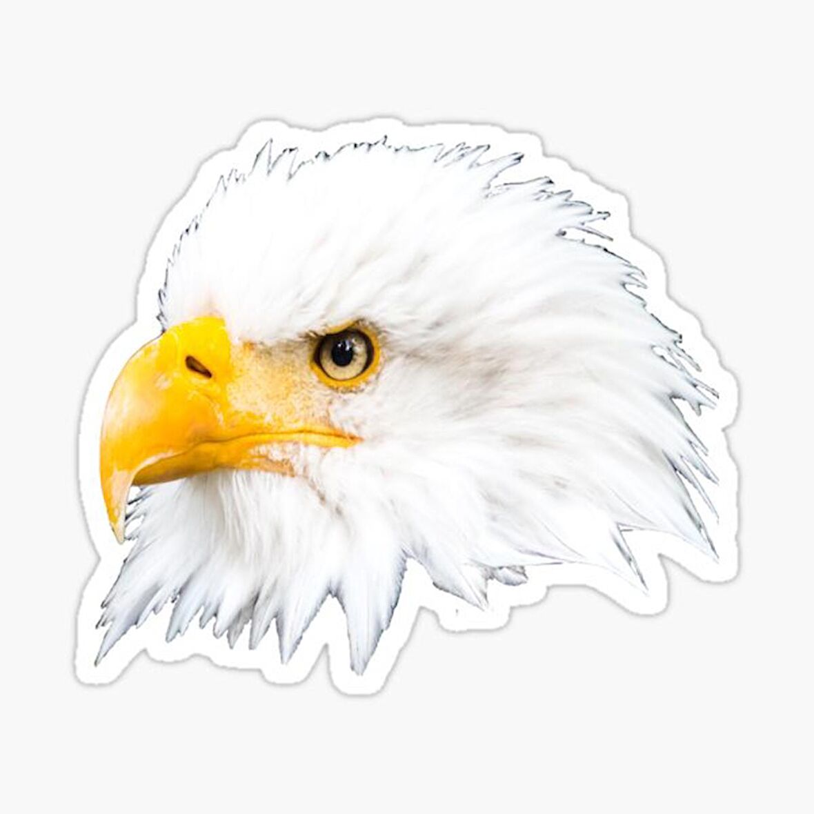 Araba için Kartal Oto Sticker Yapıştırması Etiket  17CM w8