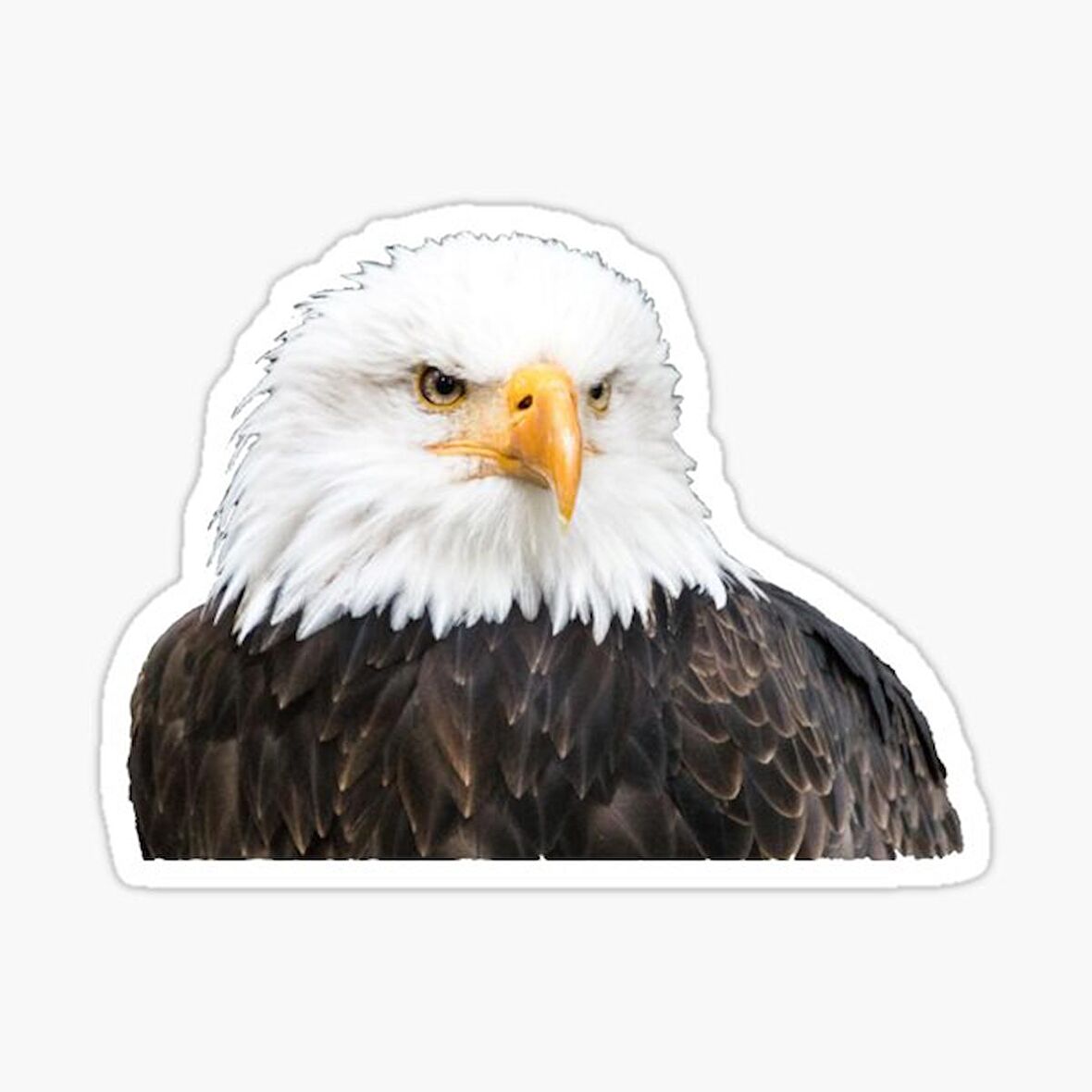 Araba için Kartal Oto Sticker Yapıştırması Etiket  17CM w9