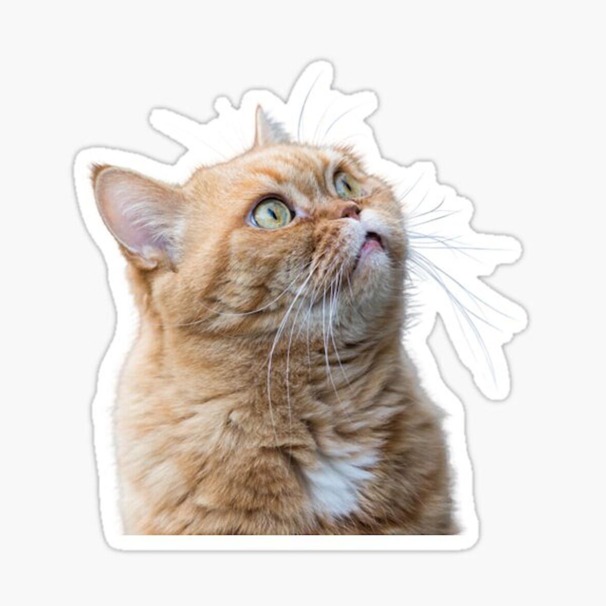 Araba Leptop için Kedi Oto Sticker Yapıştırması Etiket  17CM z3