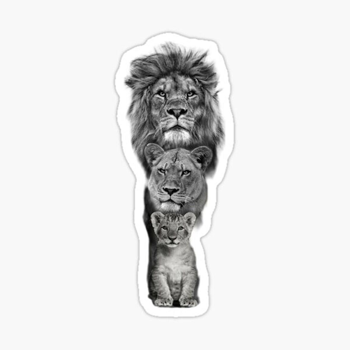 Aslan Ailesi Araba Oto Sticker Yapıştırma Etiket 17CM F2