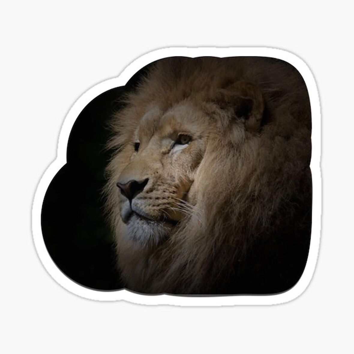 Aslan Ailesi Araba Oto Sticker Yapıştırma Etiket 17CM q1
