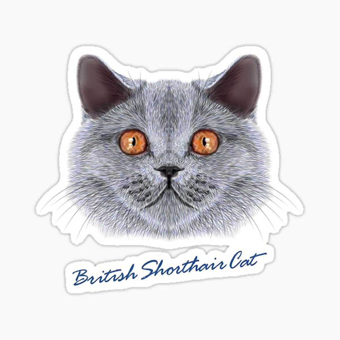 British Shorthair Kedi Araba Oto Sticker Yapıştırma Etiket 17CM z1