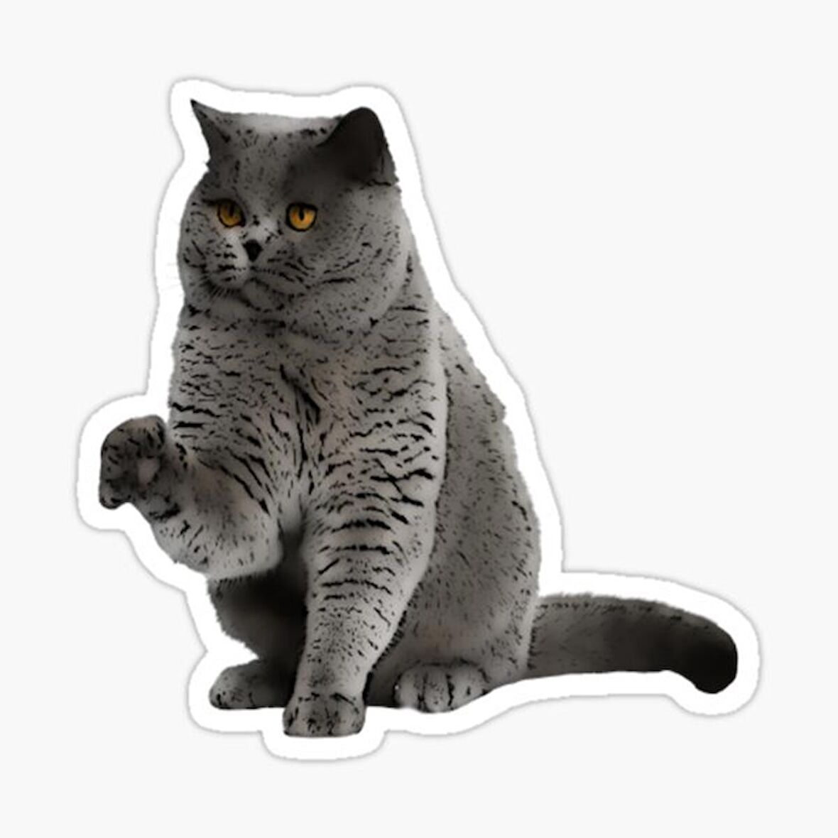 British Shorthair Kedi Araba Oto Sticker Yapıştırma Etiket 17CM z2