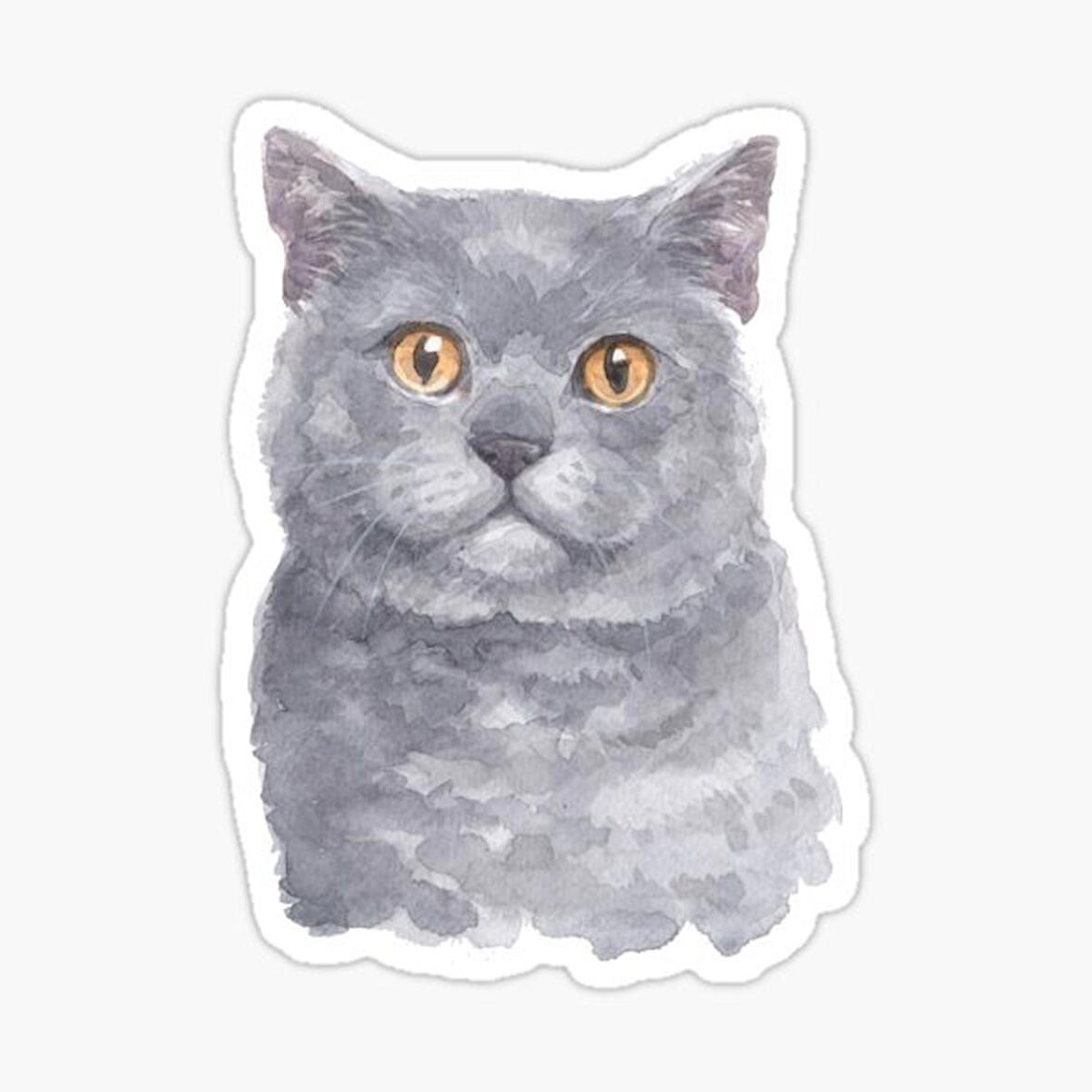 British Shorthair Kedi Araba Oto Sticker Yapıştırma Etiket 17CM z3
