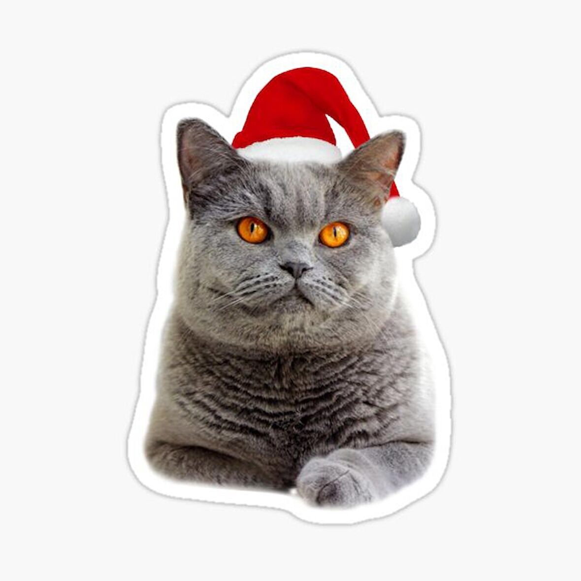 British Shorthair Kedi Araba Oto Sticker Yapıştırma Etiket 17CM z5