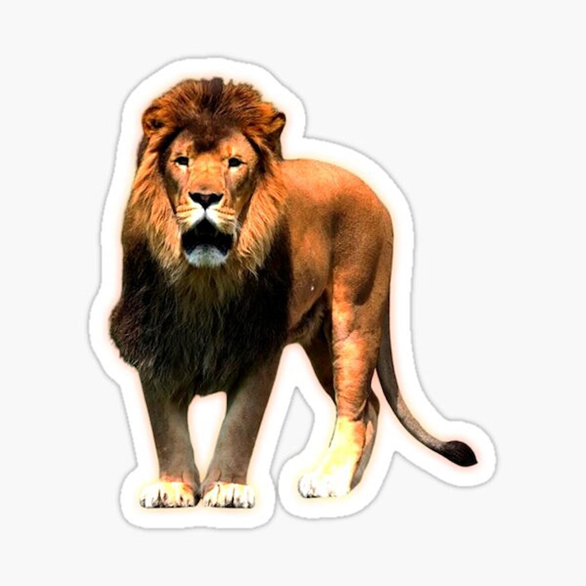 Renkli Aslan Araba Oto Sticker Yapıştırma Etiket 17CM D5