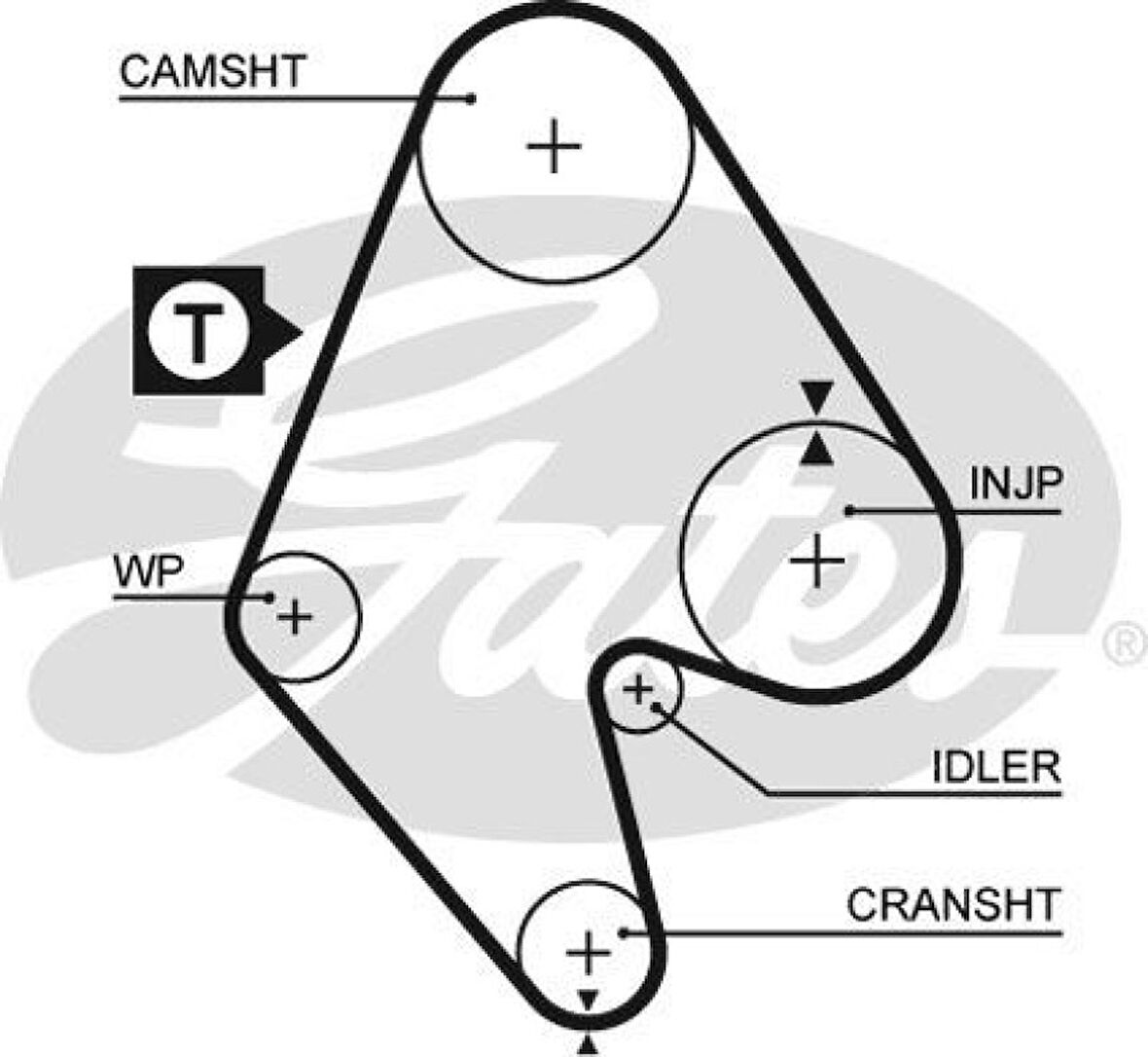 Opel Triger Kayısı Bedford / Opel Ascona Astra Kadett Vectra 82 95 1,6d 1,7d 8v (146*240) - Gates 5129