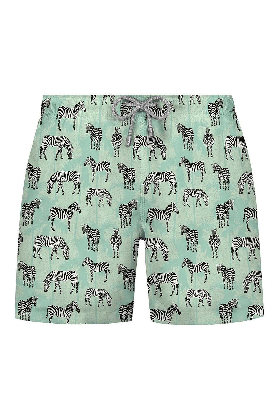 Bonitas Erkek Şort Zebra-Mint 22701