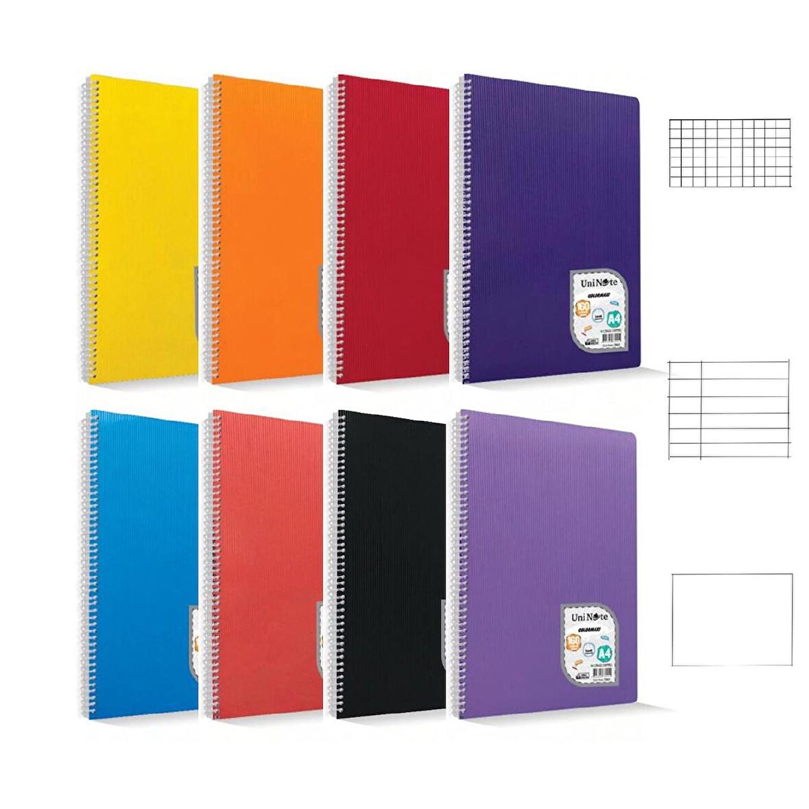 Çınar Colormaxi A4 160 Yaprak Plastik Kapak Spiralli Defter