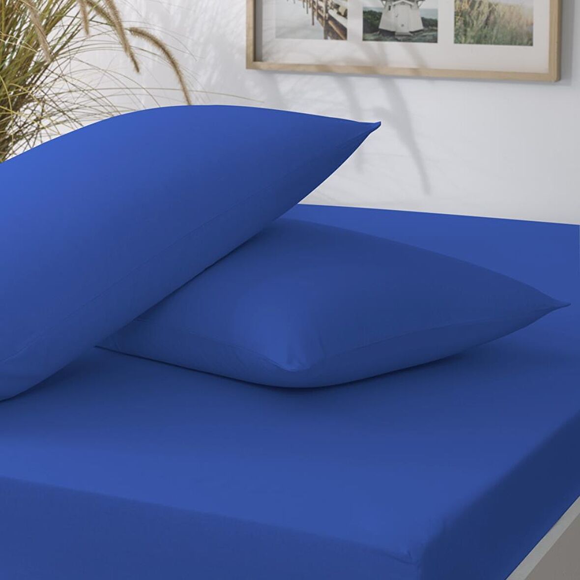 Taç Basic Lastikli Çift Kişilik Çarşaf Seti Mavi 180x200 cm