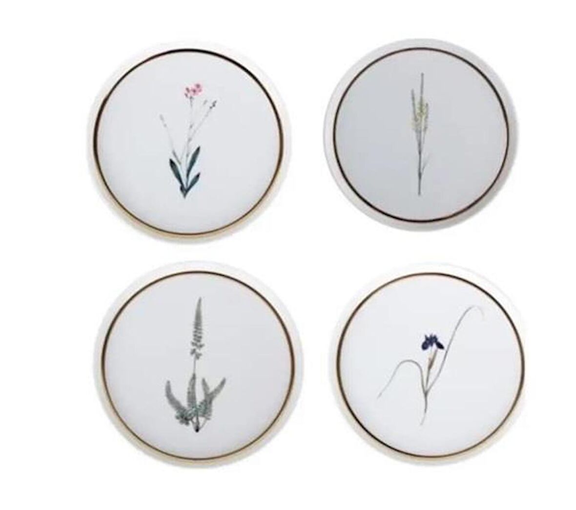 Porland Botanical Serisi 4Lü 21cm Düz Pasta Tabak Takımı Karma Desen