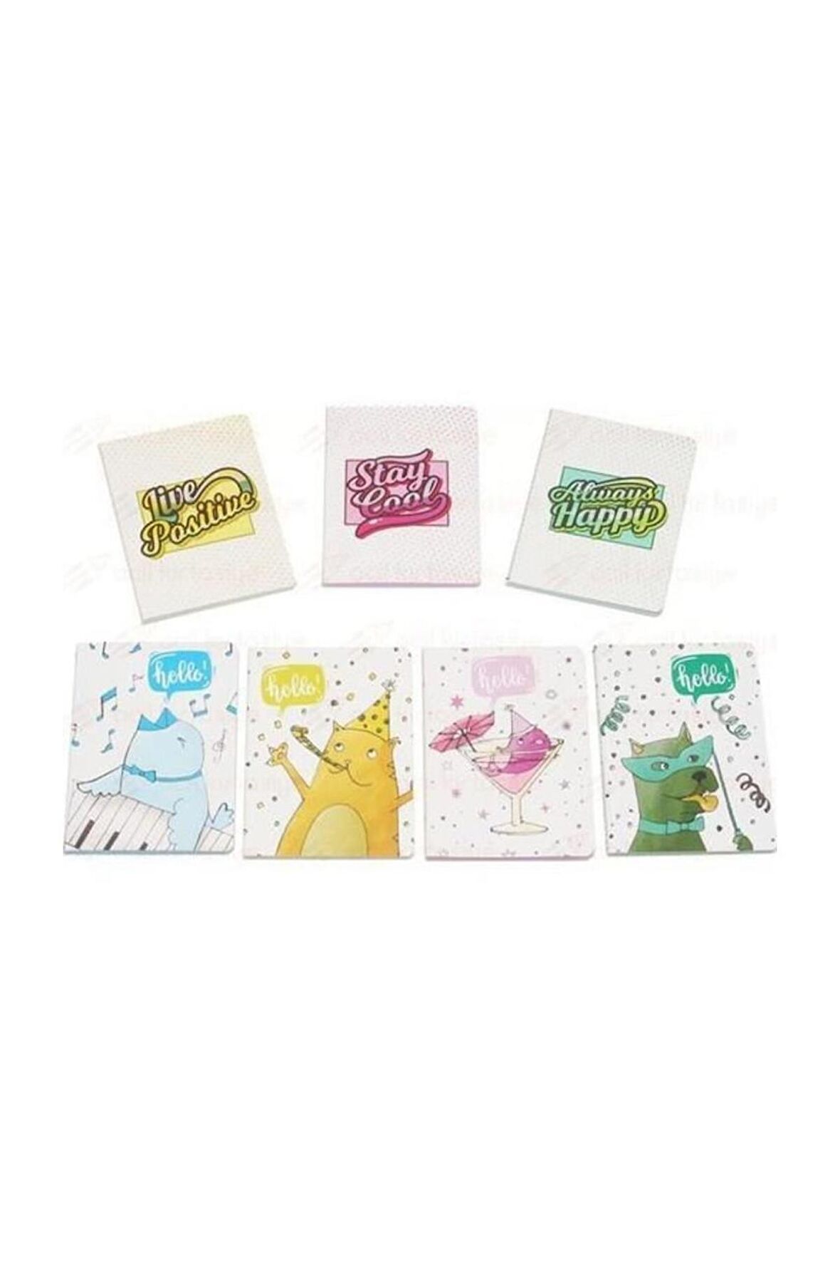 Liz Modelist Defter Biala Mini Cepli Çizgili 64 Yp 247