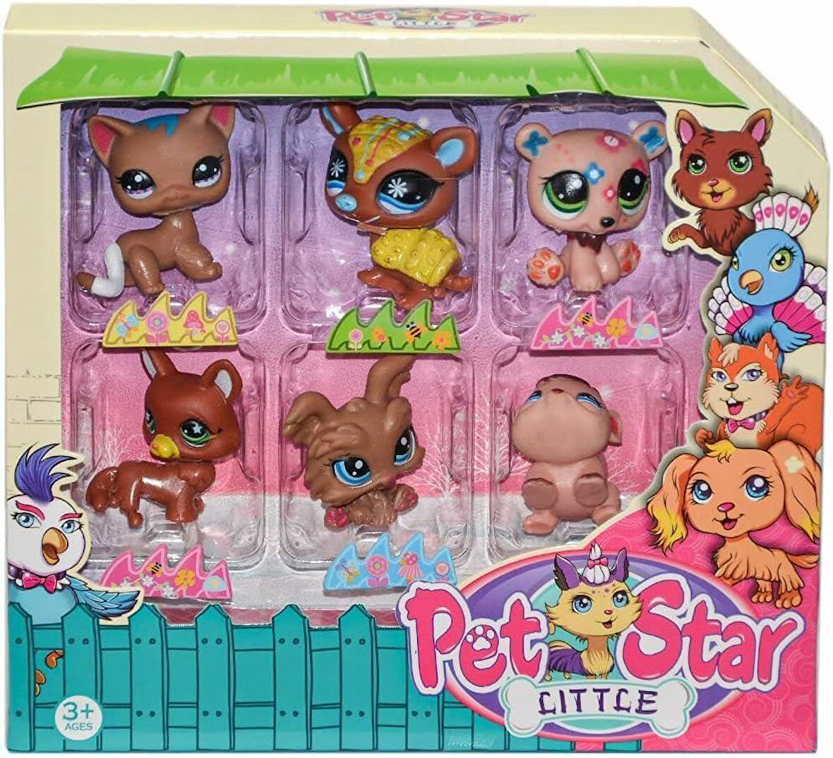 3046A2 Pet Star 6'lı Miniş Seti-1