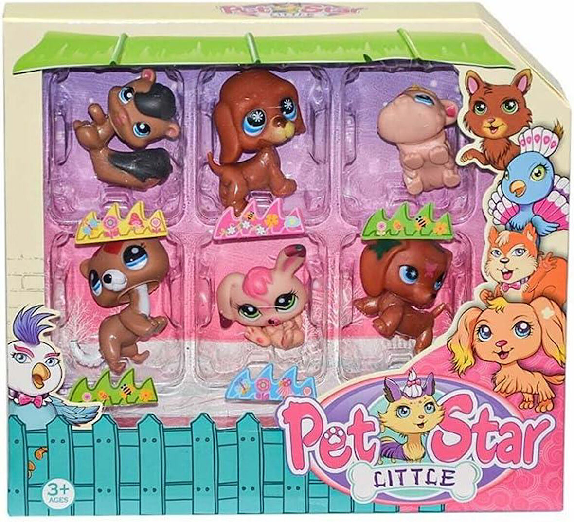 3046A2 Pet Star 6'lı Miniş Seti-2