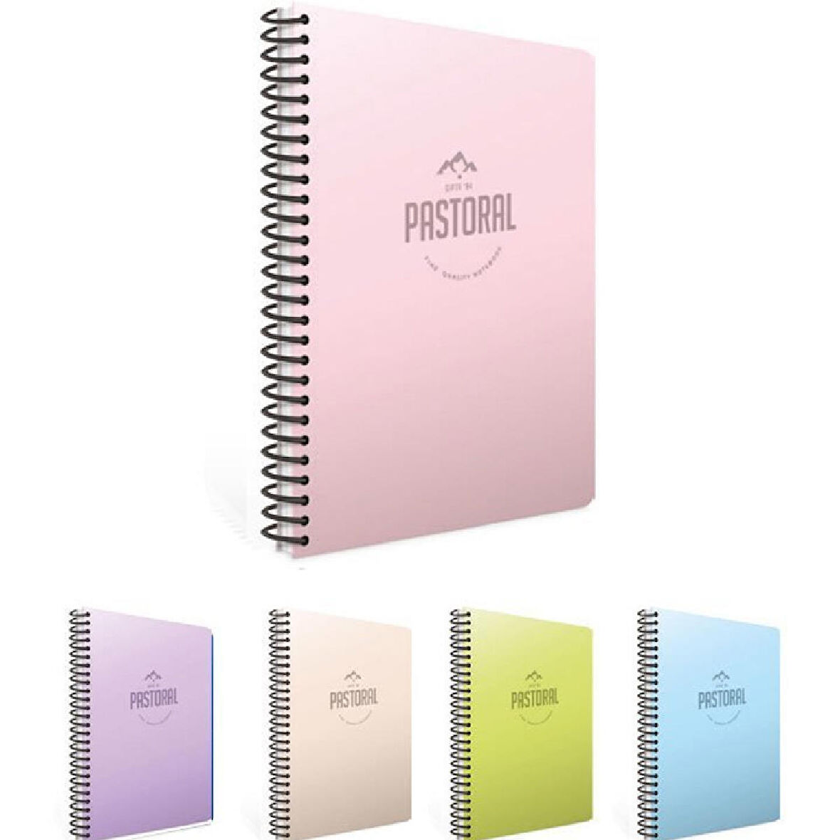 Gıpta 3249 Pastoral Spiralli PP Kapak 17X24 60 Yaprak Çizgili Defter