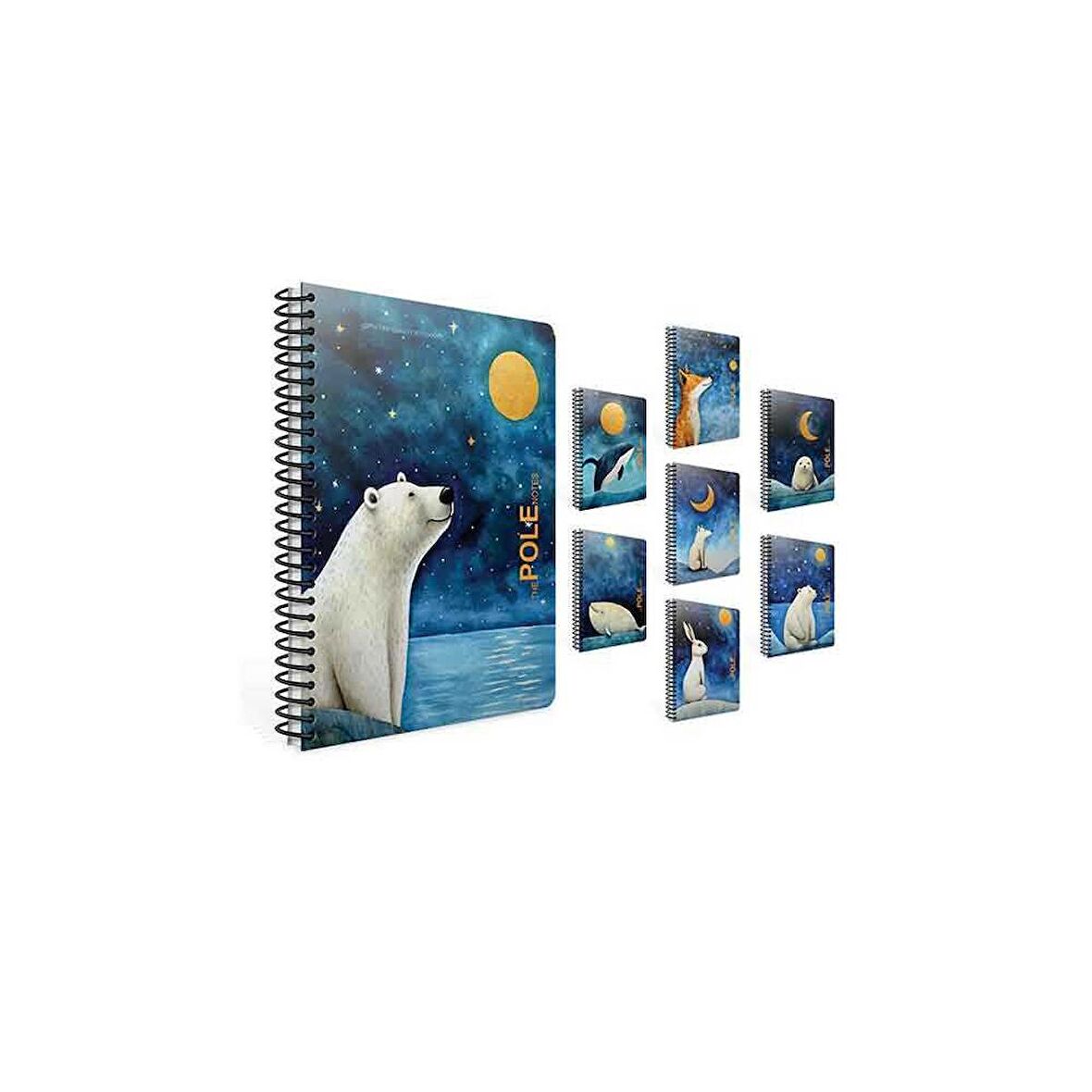 Gıpta A4 80 Yaprak Kareli Pole Notes Spiralli Pp Kapak Defter 7273000