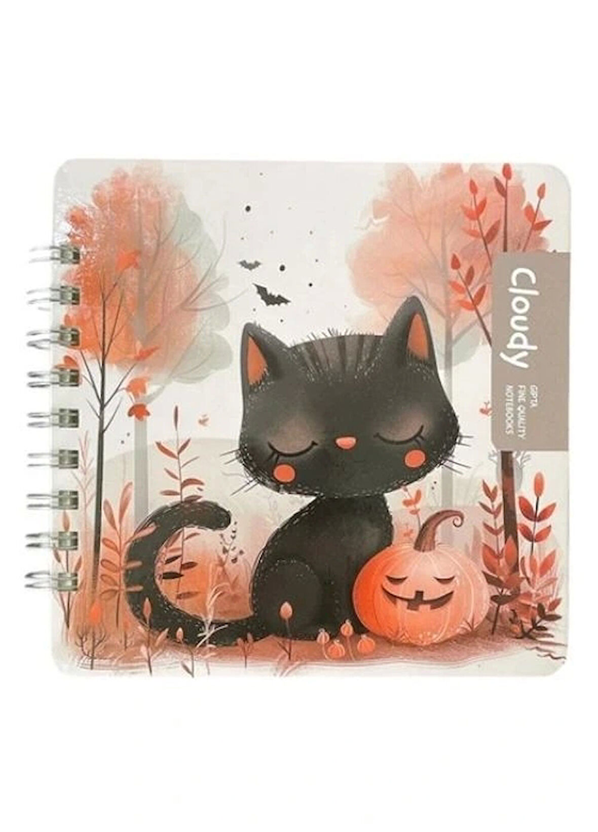 CLOUDY SP SERT KAPAK DEFTER 16X16 100 YP ÇİZGİLİ