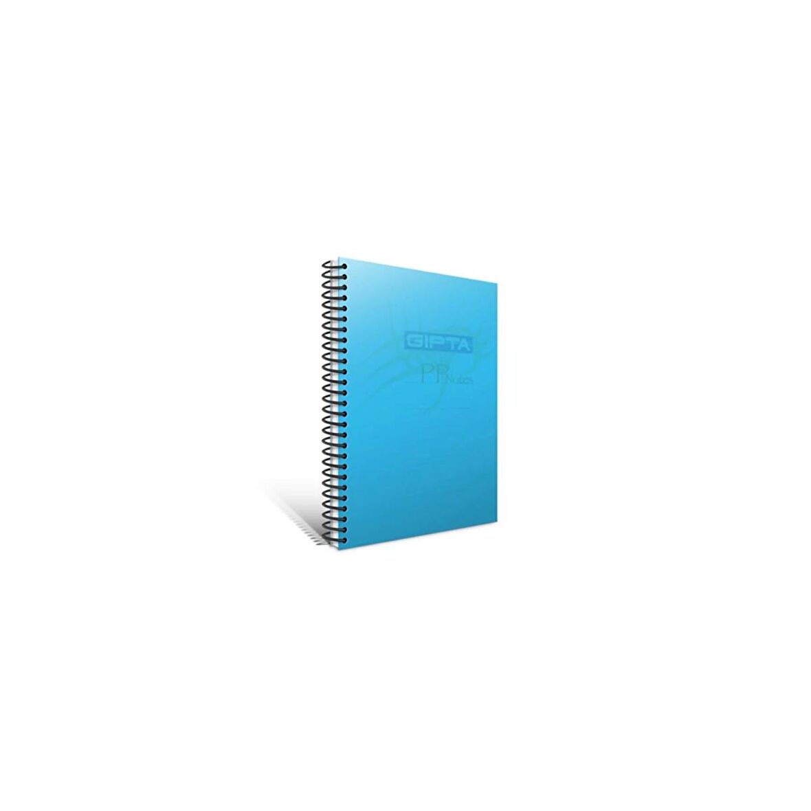 GIPTA EKO PP SPİRAL PP KAPAKLI DEFTER (A4)-80 yaprak ( Kareli )