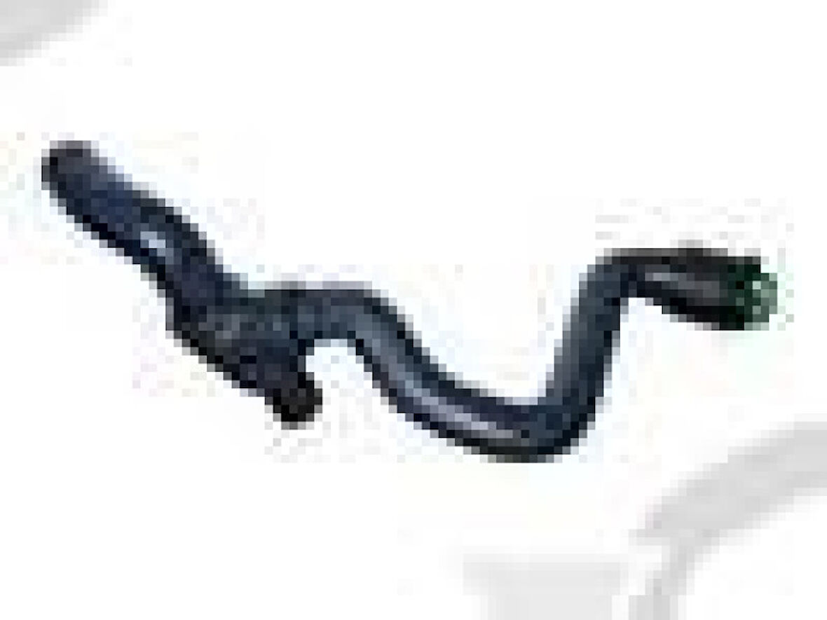 Opel Kalorıfer Cikis Hortumu Astra G Zafıra A X17dt Y17dt - Ucpa 22h133307