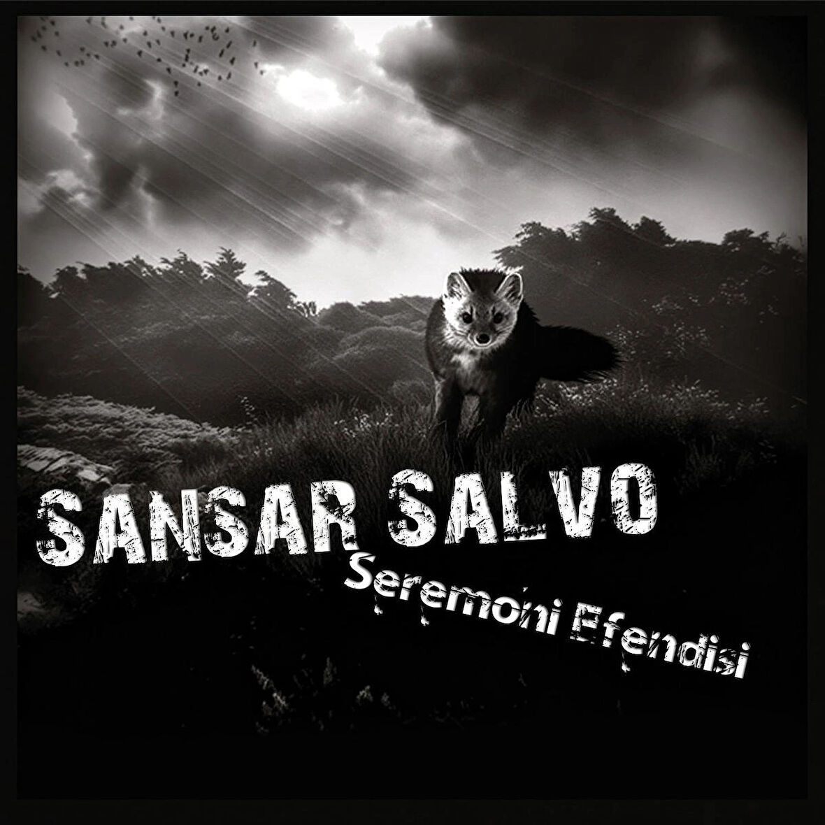PLAK - Sansar Salvo - Seremoni Efendisi