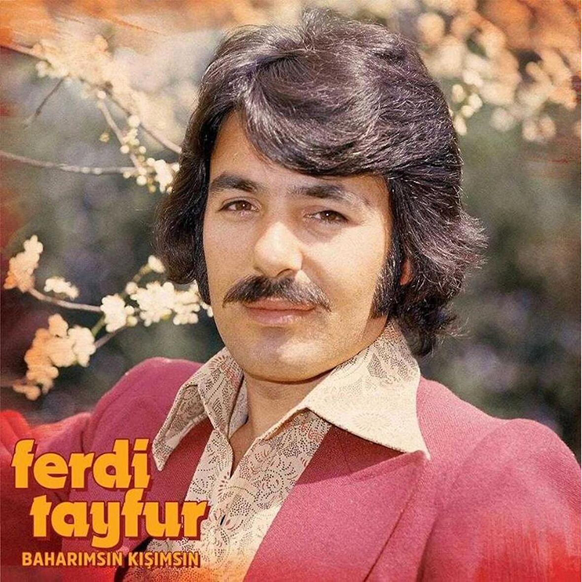 Ferdi Tayfur - Baharımsın Kışımsın (Plak)  