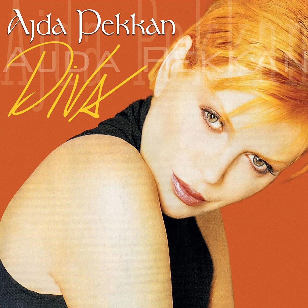 Ajda Pekkan - Diva (2 Plak)  