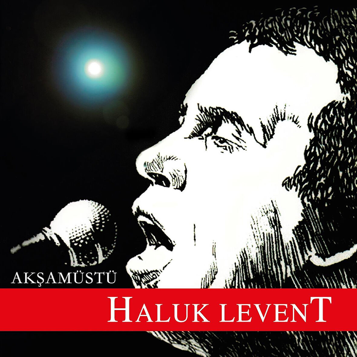 Haluk Levent Akşamüstü - Plak