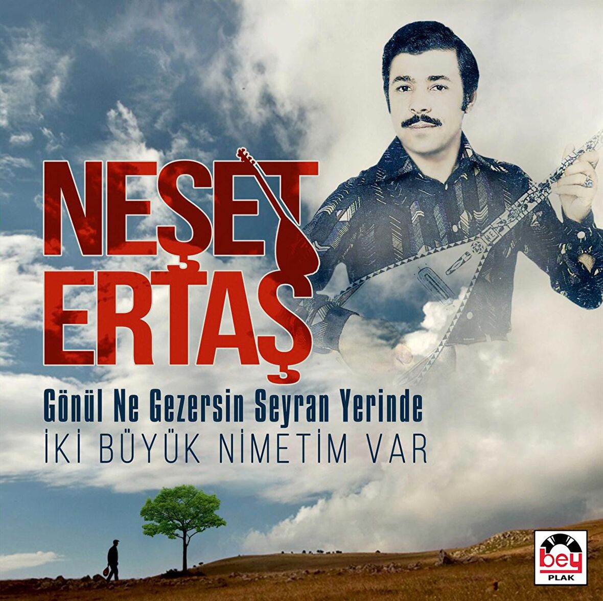 Neşet Ertaş - Gönül Ne Gezersin Seyran Yerinde   ( Plak)