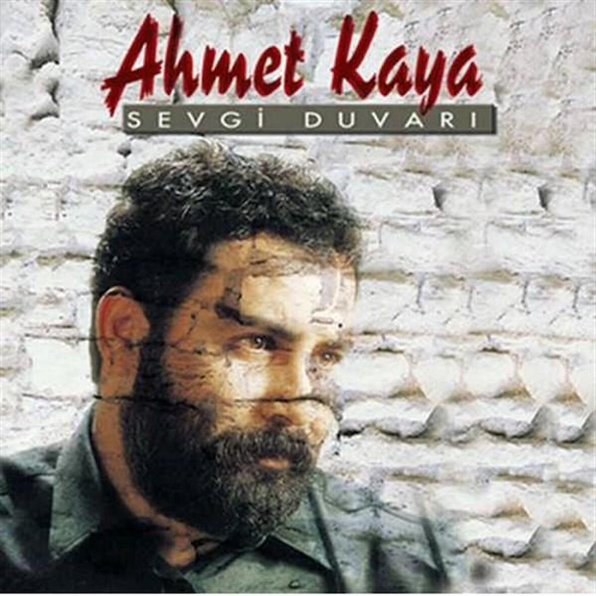 Ahmet Kaya - Sevgi Duvarı (Plak)  