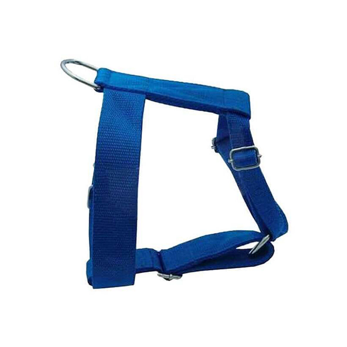 Apco Özel Kalın Üç Ayarlı Bel Tasması No:3 Mavi