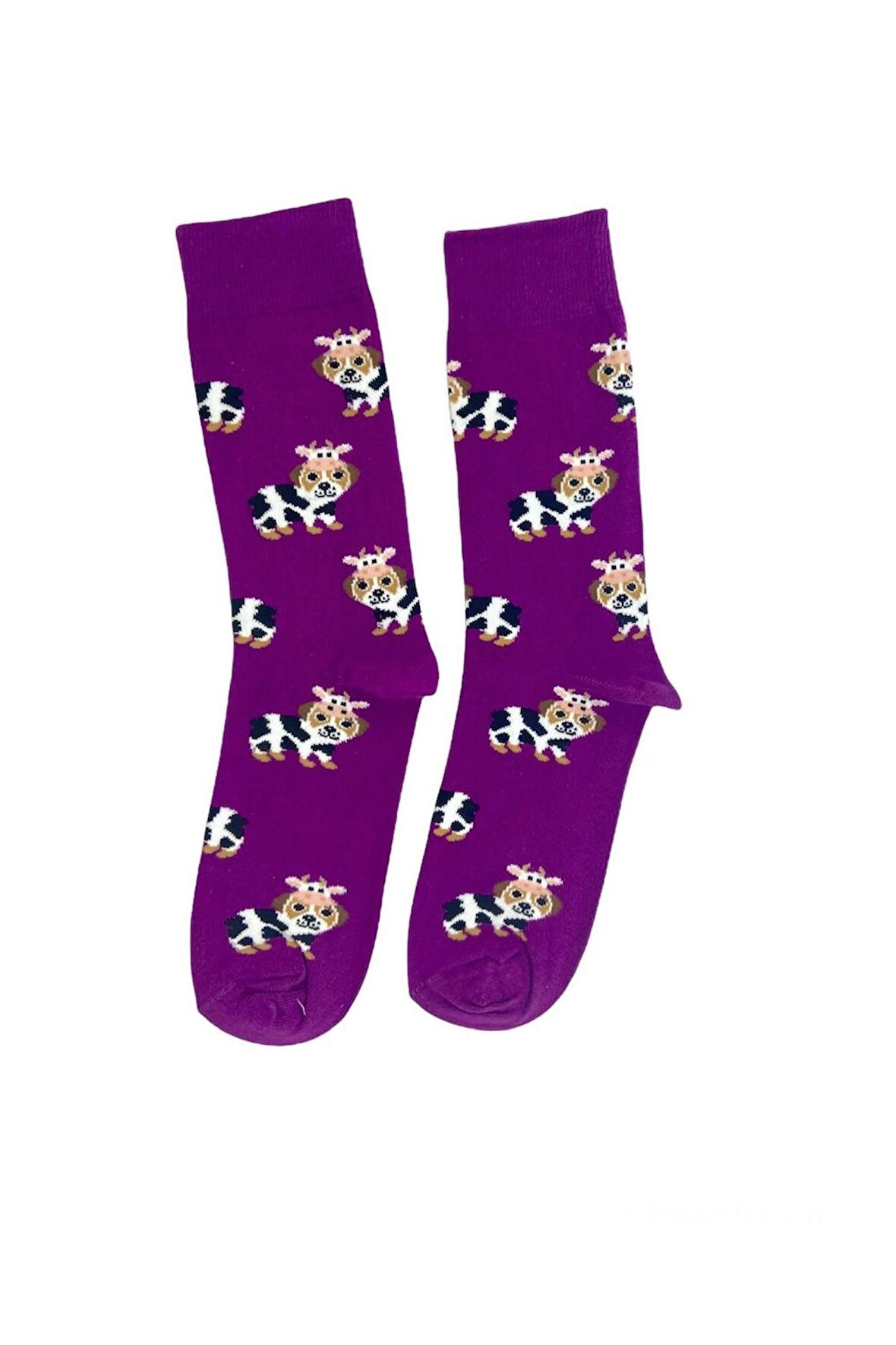 Tek Çift Eğlenceli  Çorap  36-41 Numara  T-0137